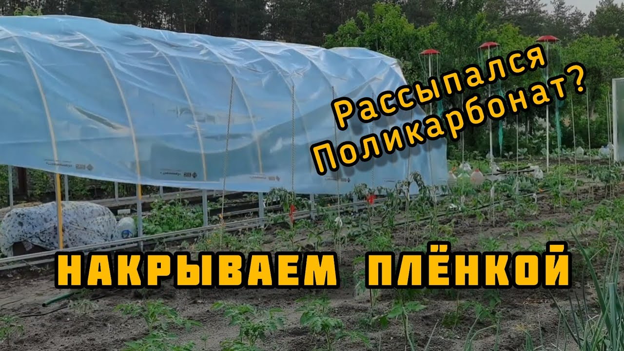 Перекрываем арочную теплицу. Но не поликарбонатом😉