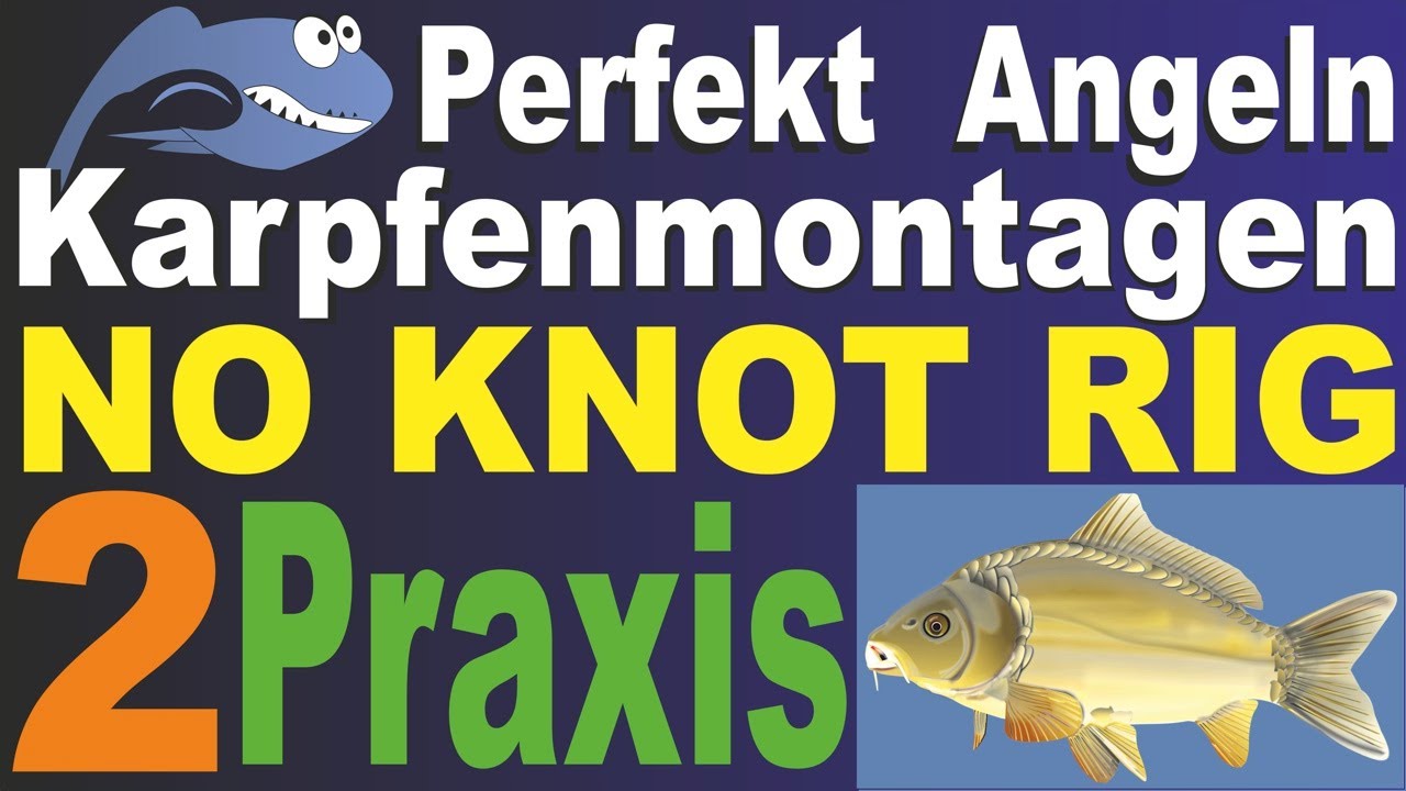 Perfekt Angeln – Karpfenmontagen TEIL 2 | Anleitung Haar Hair Rig, Tipps Vorfach, Haken, Angelknoten