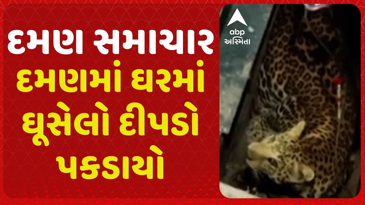Daman | દમણમાં ઘરમાં ઘૂસેલો દીપડો પકડાયો, 12 કલાકની જહેમત બાદ દીપડો પાંજરે પુરાયો