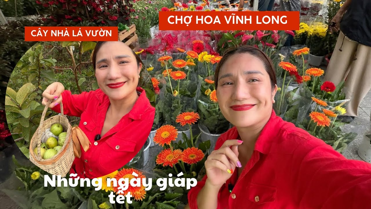 Cát Tường cùng con gái thu hoạch vườn trái cây để ăn tết - Ghé thăm chợ Hoa Vĩnh Long