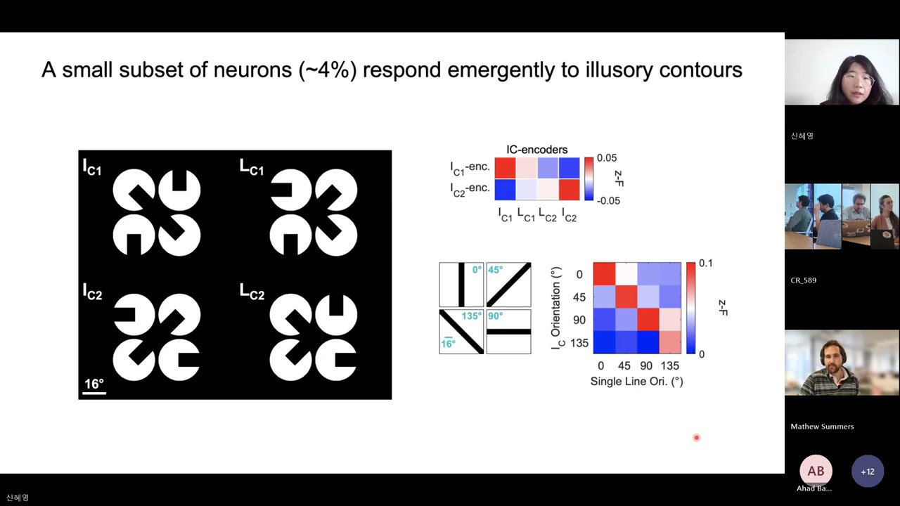 OpenScope Journal Club Hyeyoung Shin – Recurrent Pattern Completion in Neocortical Sensory Inference