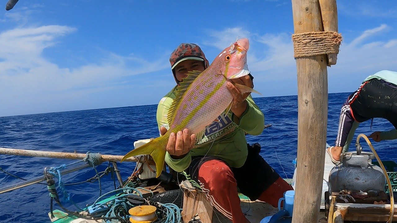 (Guerreiro da pesca) hoje fizemos uma pescaria em 52 quilômetros so peixe de qualidade 