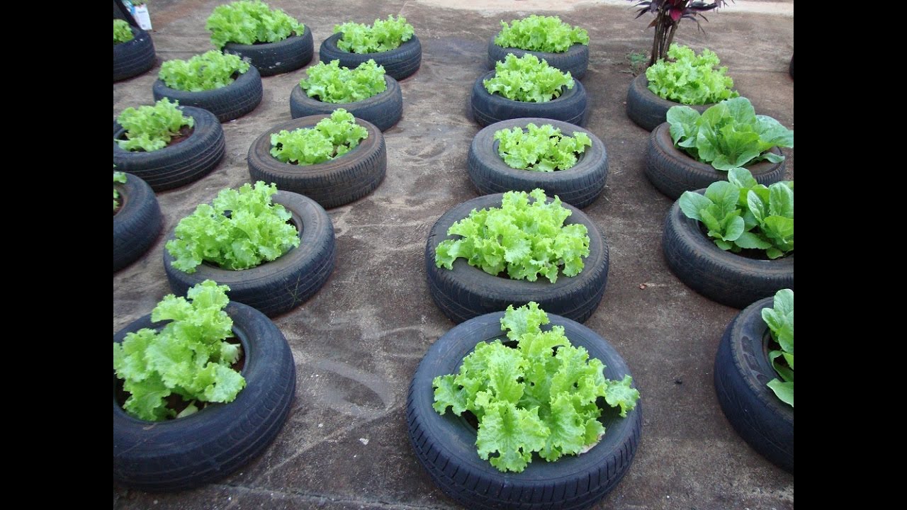Como fazer uma horta no terraço ou varanda