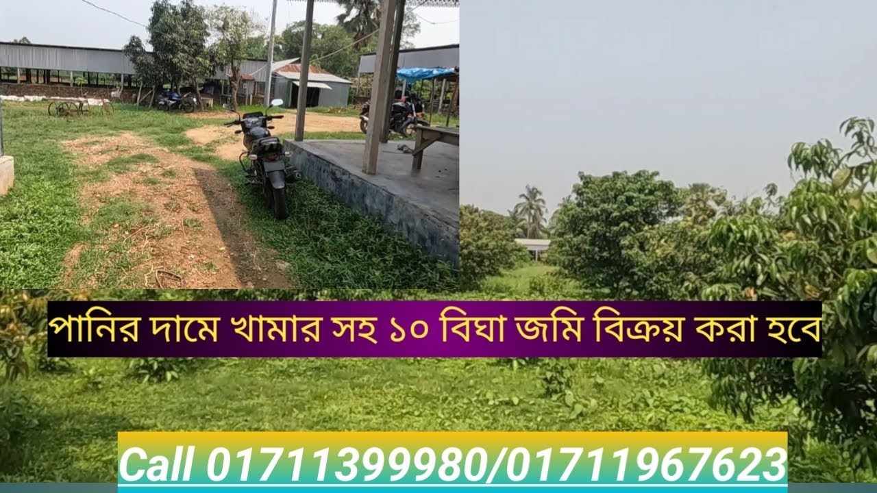 Land for sale | property sale | jomi Bikroy | জমি বিক্রয় | খামার সহ ১০ বিঘা জমি বিক্রয় করা হবে |