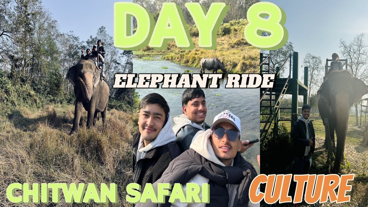 HATTI SAFARI IN CHITWAN SAURAHA 💚 ( DAY 8 )