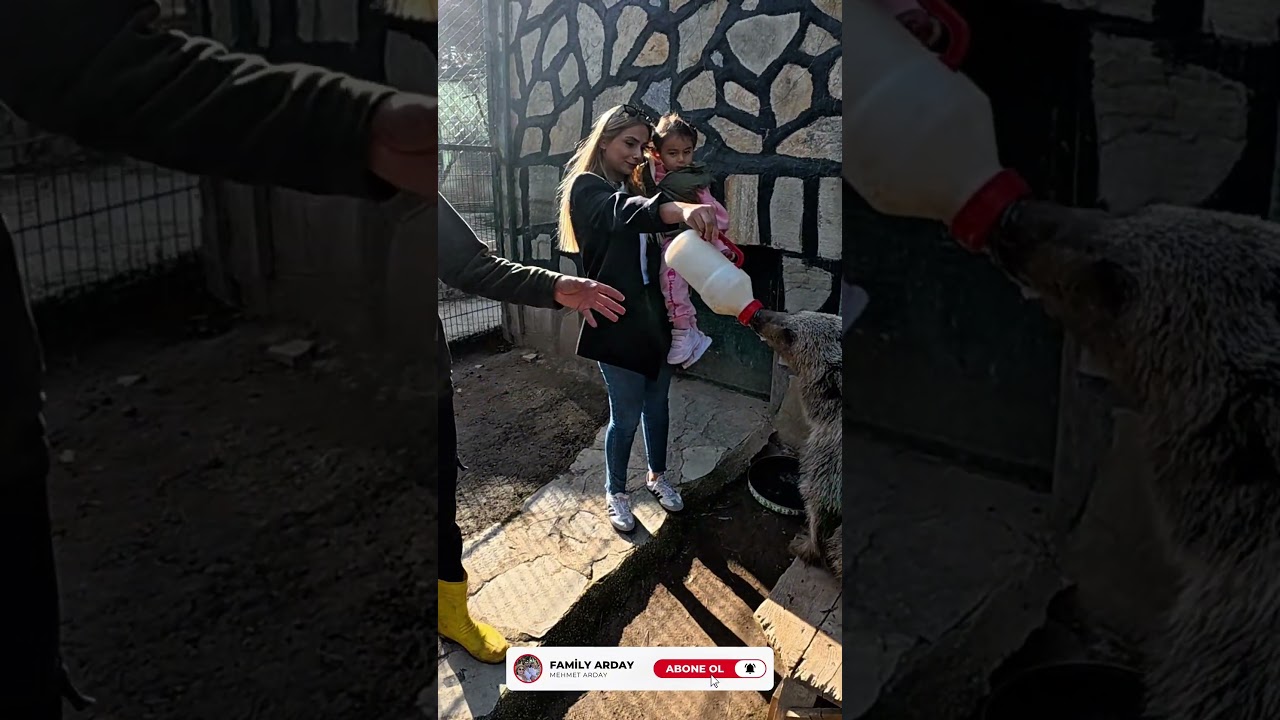 Aile Vlogu: Park of İstanbul Hayvanat Bah&ccedil;esi 2025