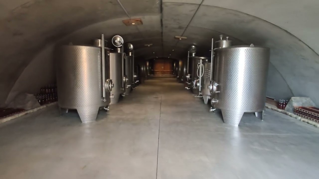 20250208 - Gurneys Cidery, Foster, Vic