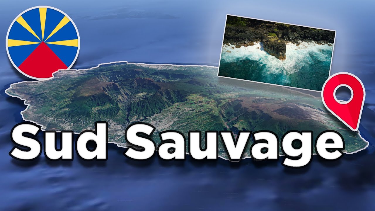 WILD south of REUNION