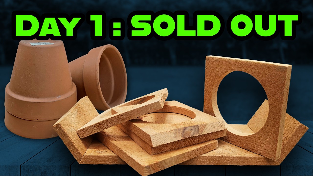 EASY $100 using Beginner Tools and Cheap Lumber