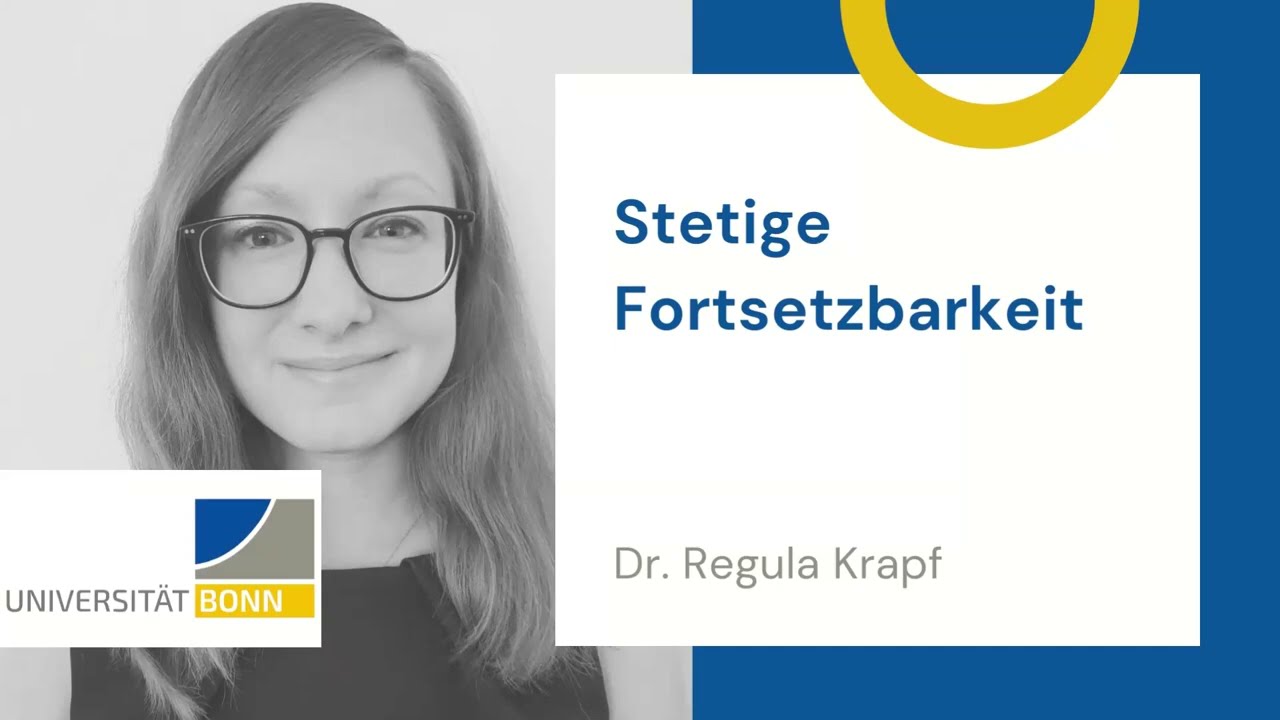 Stetige Fortsetzbarkeit