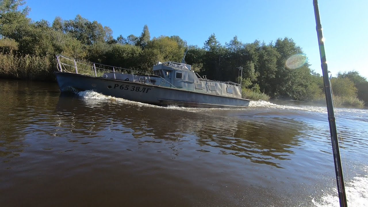 Рыбалка на Ладоге, Гигантский окунь, обзор воблеров/Fishing on Ladoga,Giant perch #shorts  #fishing