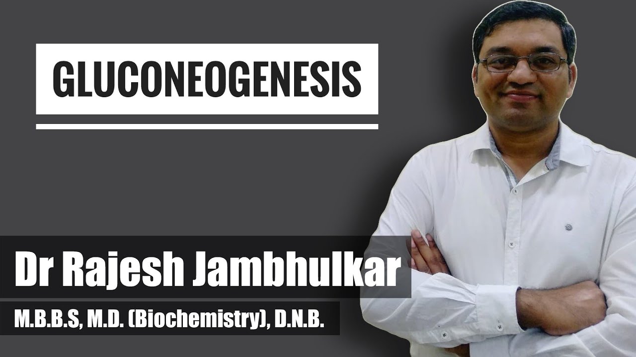 9. Gluconeogenesis from lactate, glycerol, propionyl coA and glucogenic amino acids