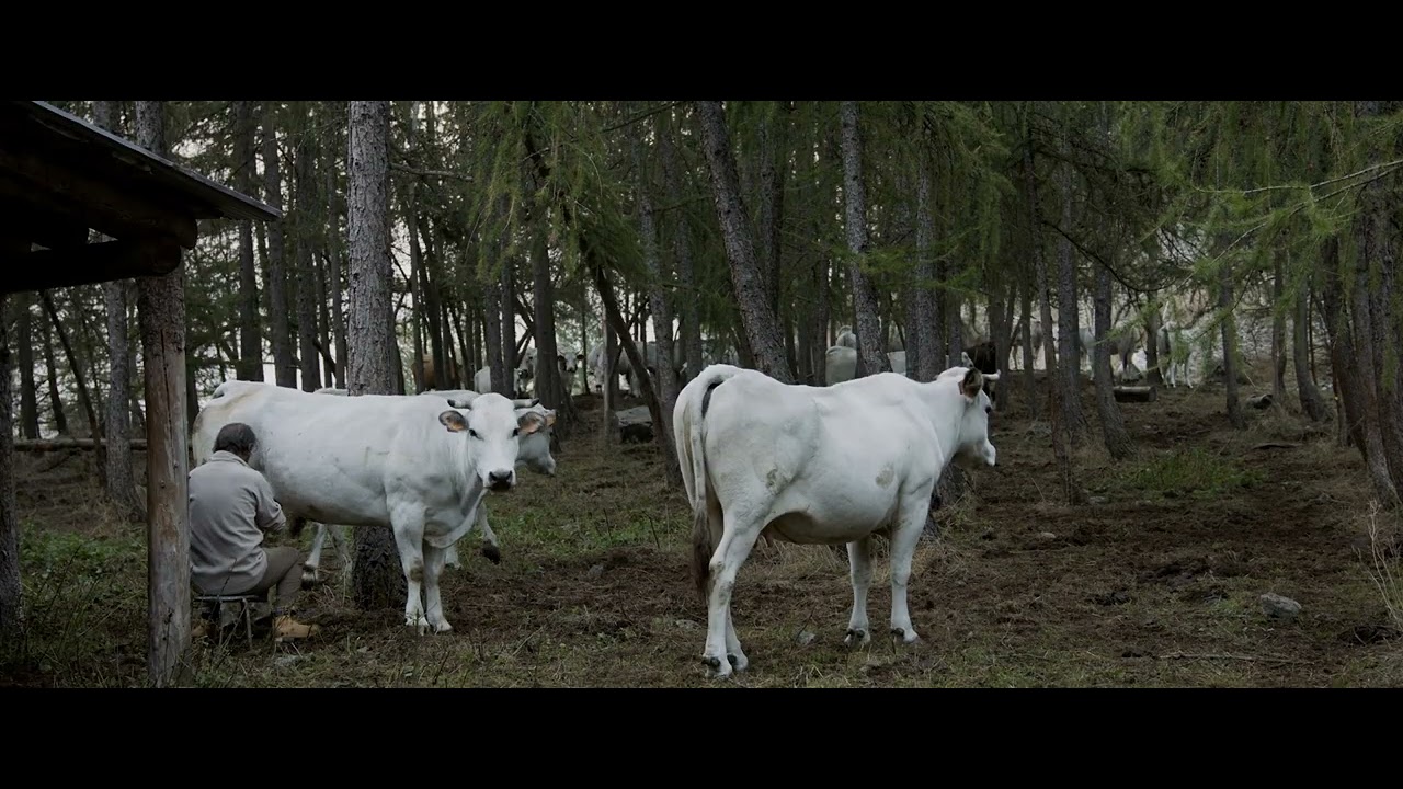 ALPENLAND - Trailer