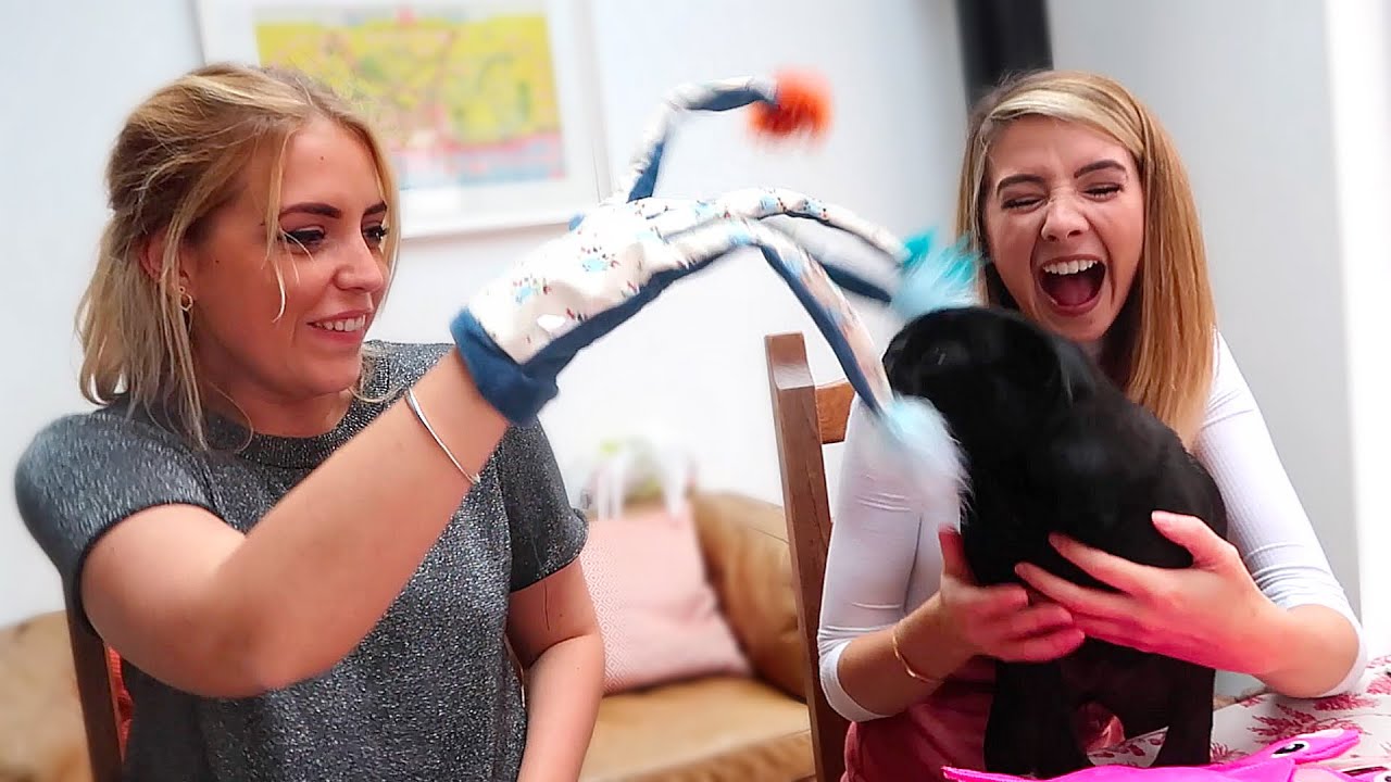 NALA & BUZZ'S 2ND BIRTHDAY PARTY