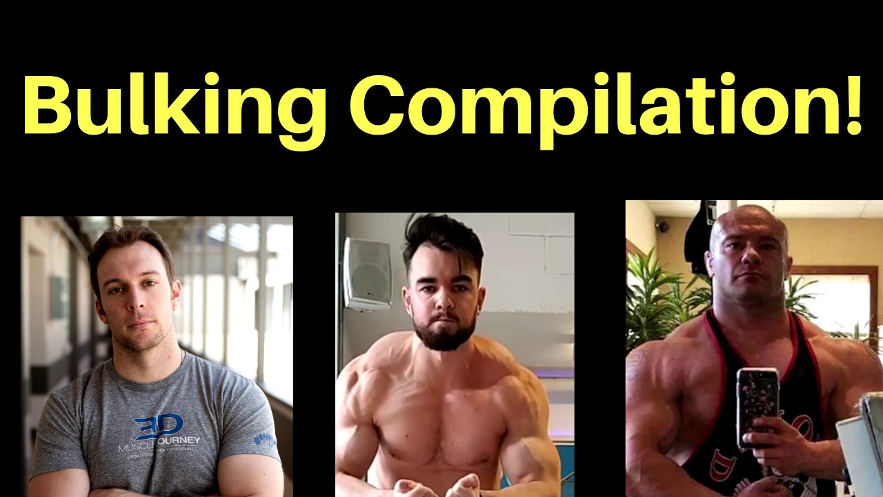 Bulking & Body-fat gain - Compilation ft. Mike Israetel, Eric Helms, Steve Hall (All time-stamped!)