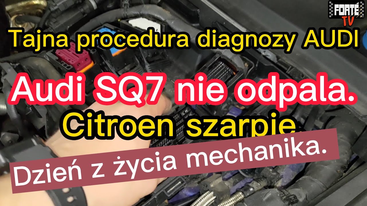 Audi SQ7 nie odpala. Citroen szarpie. Dzień z życia mechanika. #rodzinaforte #rommie