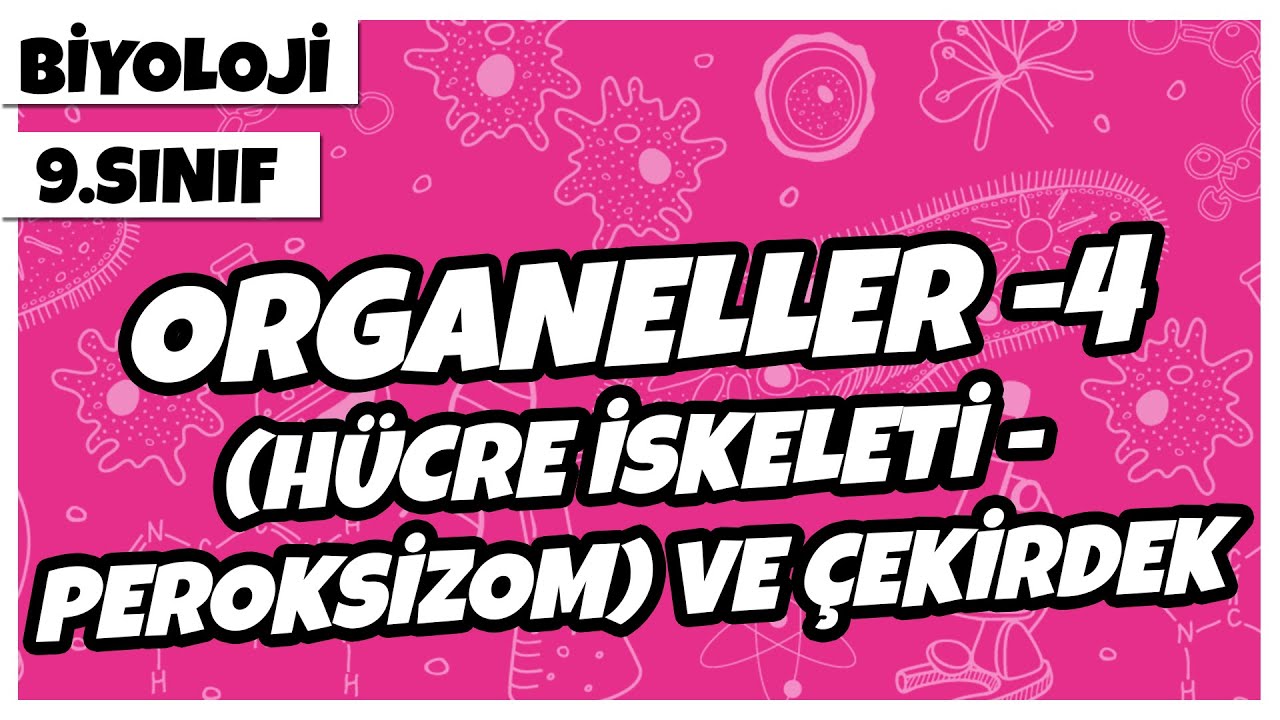 9. Sınıf Biyoloji - Organeller -4 (Hücre İskeleti – Peroksizom) ve Çekirdek