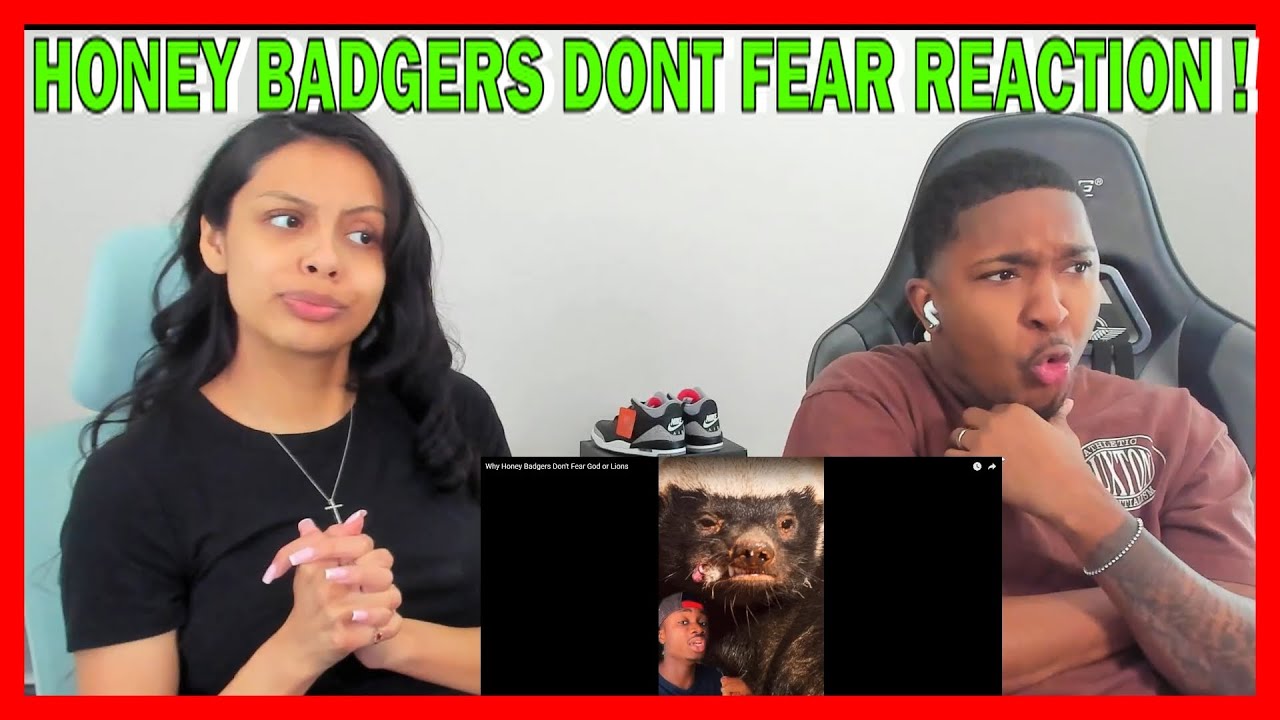 CASUAL GEOGRAPHIC | Why Honey Badgers Don't Fear God or Lions | REACTION