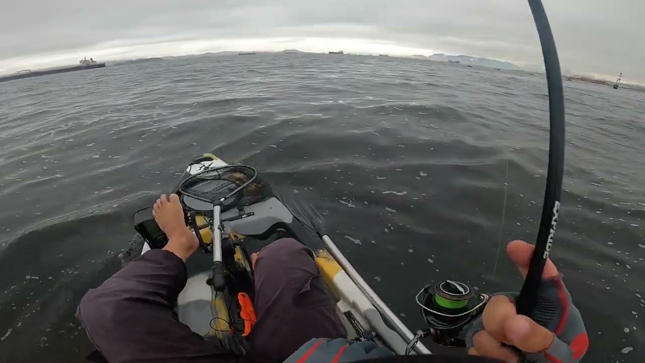 Monstro do mar na varinha de 8lb. Ultra light neles!!!