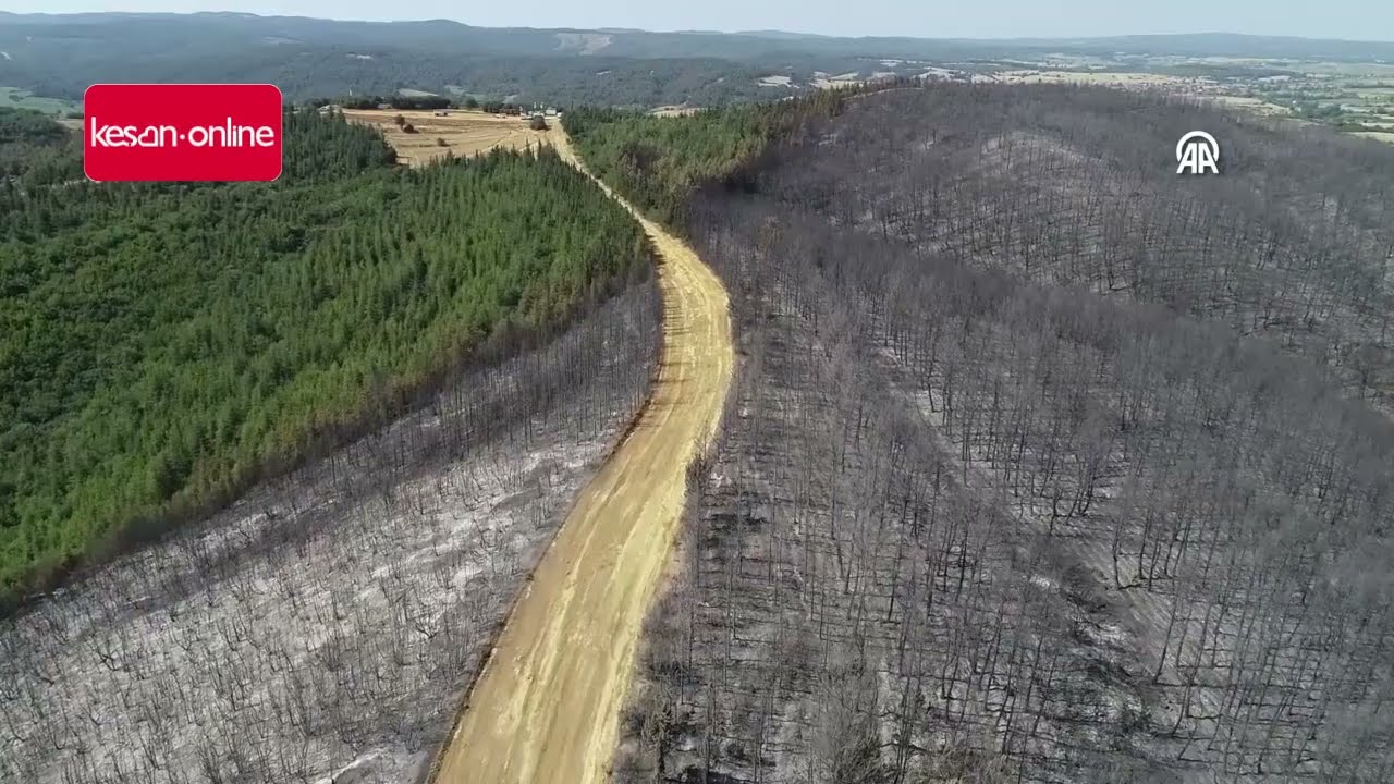 Tekirdağ'ın Malkara ilçesinde çıkan yangında yaklaşık 100 dekar ormanlık alan küle döndü