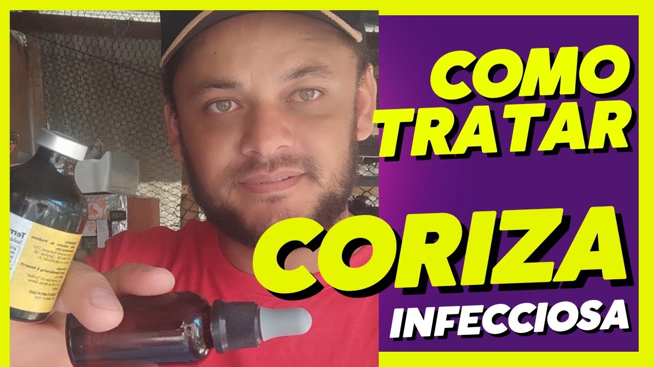 Como tratar coriza infecciosa