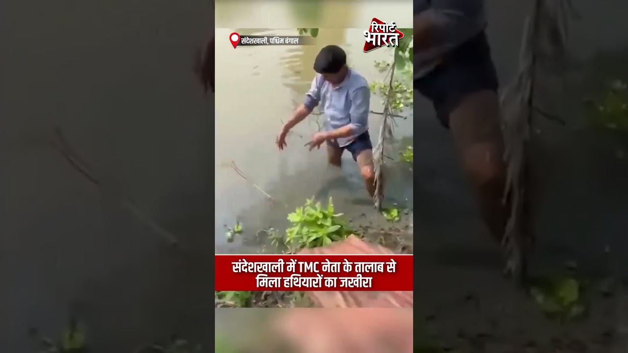 संदेशखाली में TMC नेता के तालाब से मिला हथियारों का जखीरा #SandeshkhaliArmsBust #TMCLeaderPondRaid