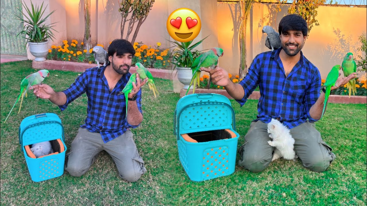 In Sab Ki Dosti Nhi Ho Skti 😁 Bohat Try Kia 😑