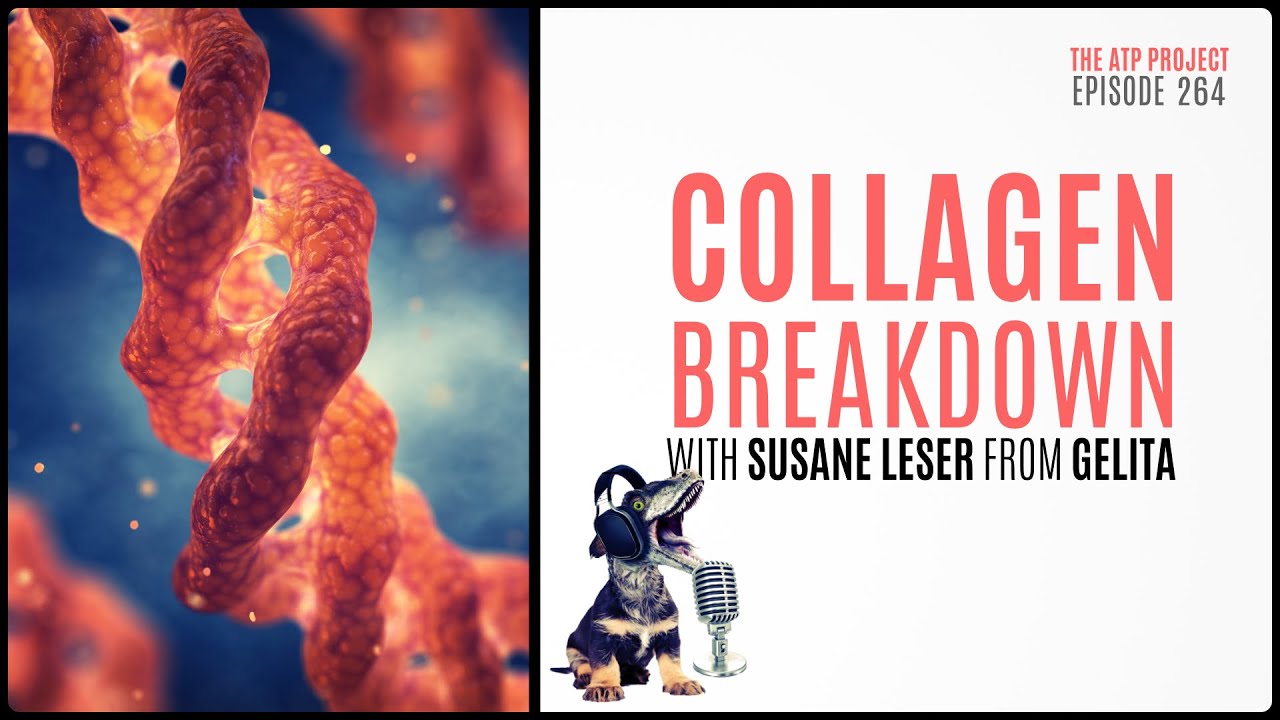 The ATP Project 264 - Collagen Breakdown with Susane Leser from Gelita