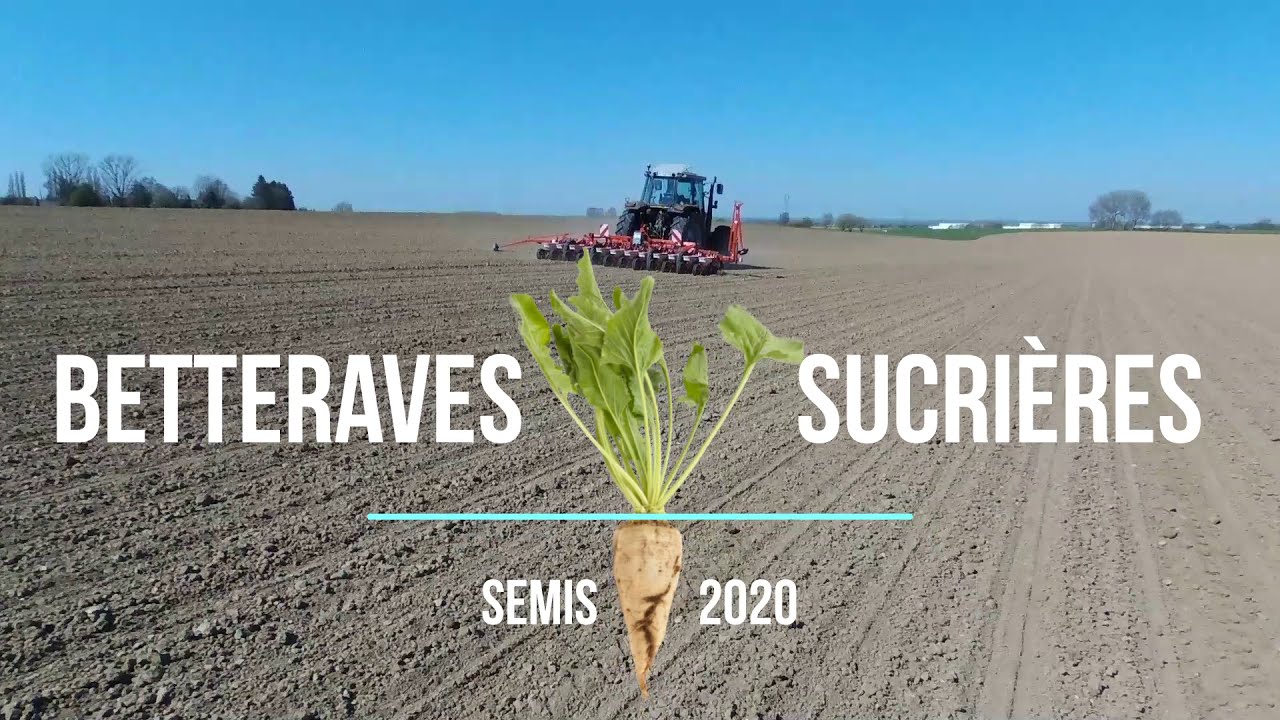 Semisbetteraves2020_59/Monopill