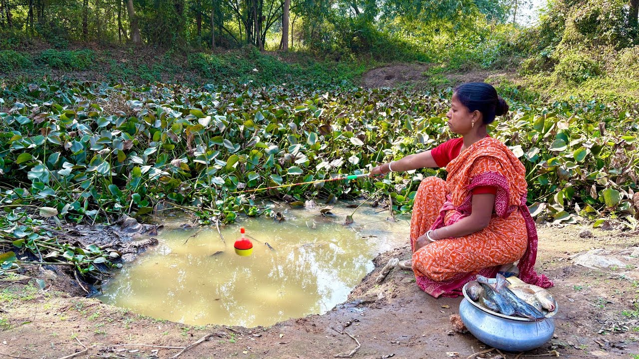 Fishing Video 🐟 || The village lady knows the necessary bait and methods for fishing in the field 