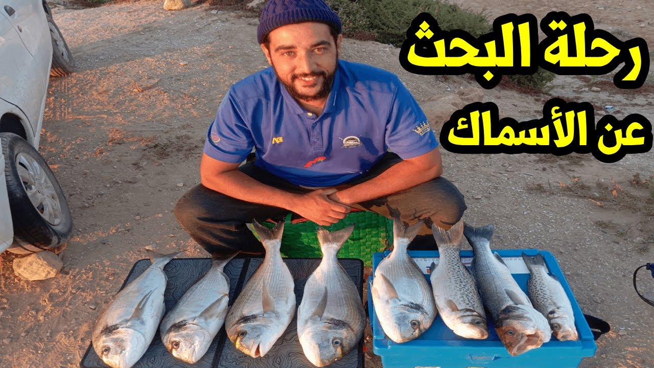 رحلة البحث عن الاسماك 🐟