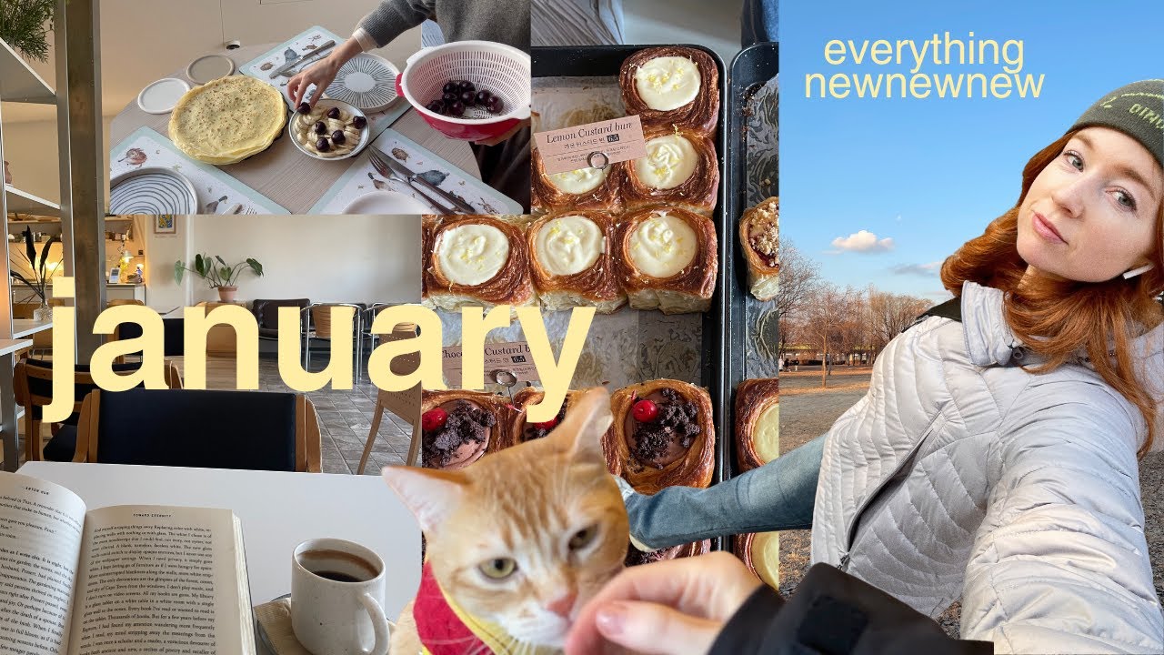 january notes 💌 books, vlogging again, snow days in seoul