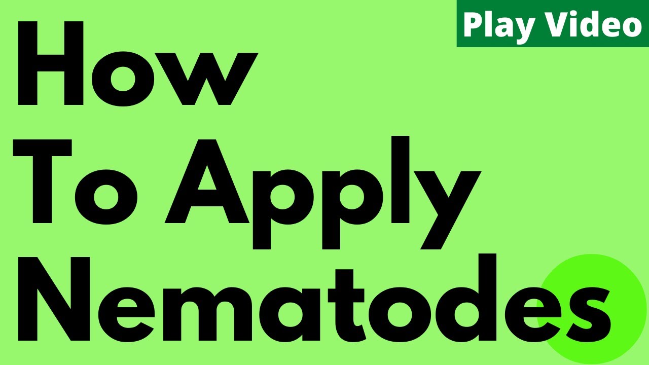 How to Apply NemaKnights Nematodes | The Environmental Factor Inc.