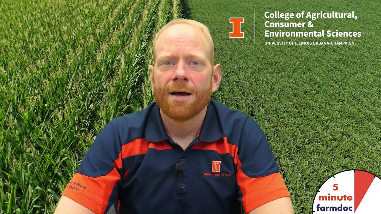 2026 Crop Insurance Decisions: Prices, Volatilities, and General Guidance