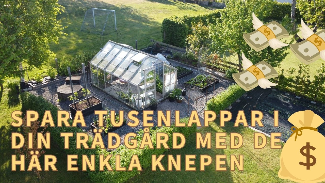 7 SÄTT ATT HÅLLA NERE KOSTNADERNA I DIN TRÄDGÅRD 💰🤑