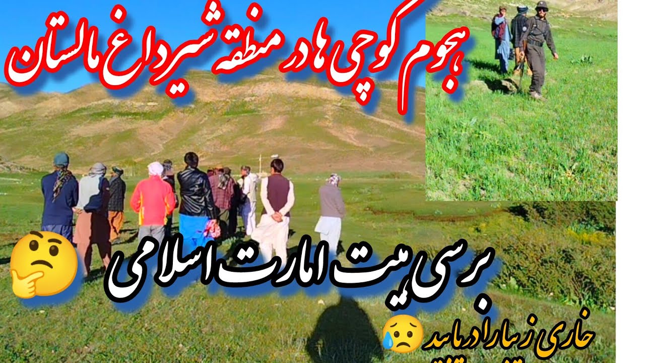 حضور به سابقه کوچی ها در خاری شیرداغ و ضایع شدن زمین های کشاورزی مردم منطقه #jaghori #malistan