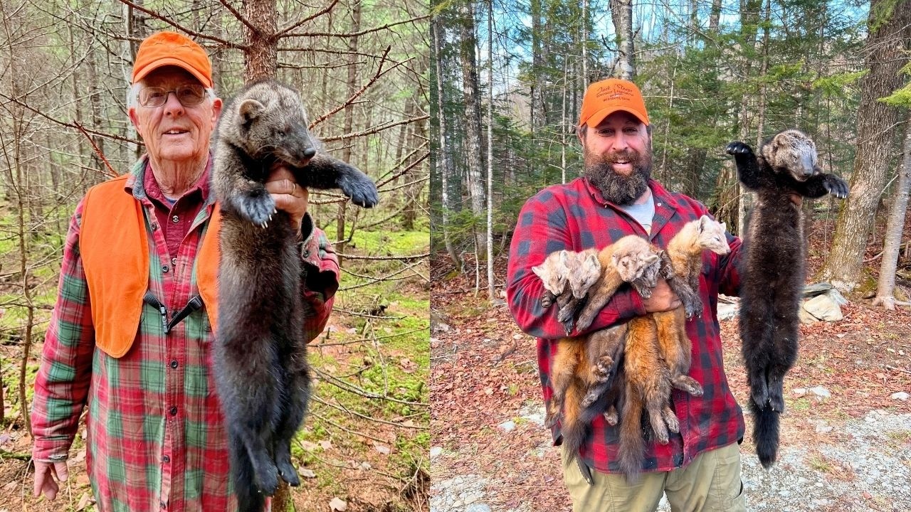 Our Best Day on the Trapline so far: Episode 11
