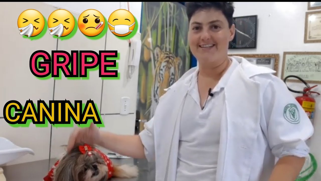 TOSSE DOS CANIS