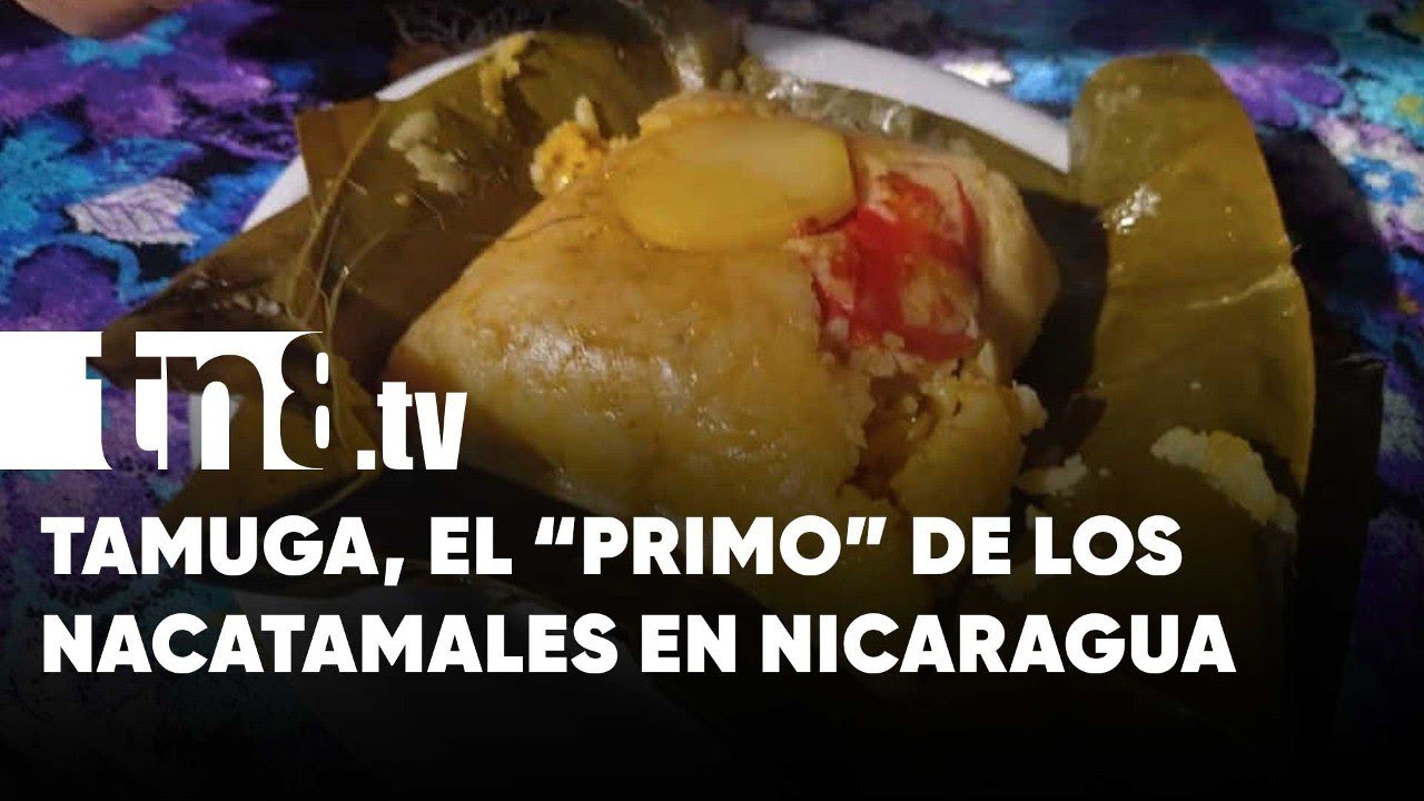 &iquest;Ya conoces la tamuga? Una delicia nica que se elabora en Masatepe - Nicaragua