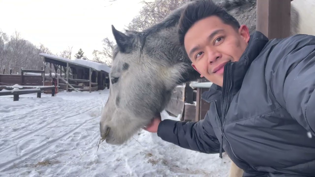 Wild Mustang Horse Ranch, Sapporo