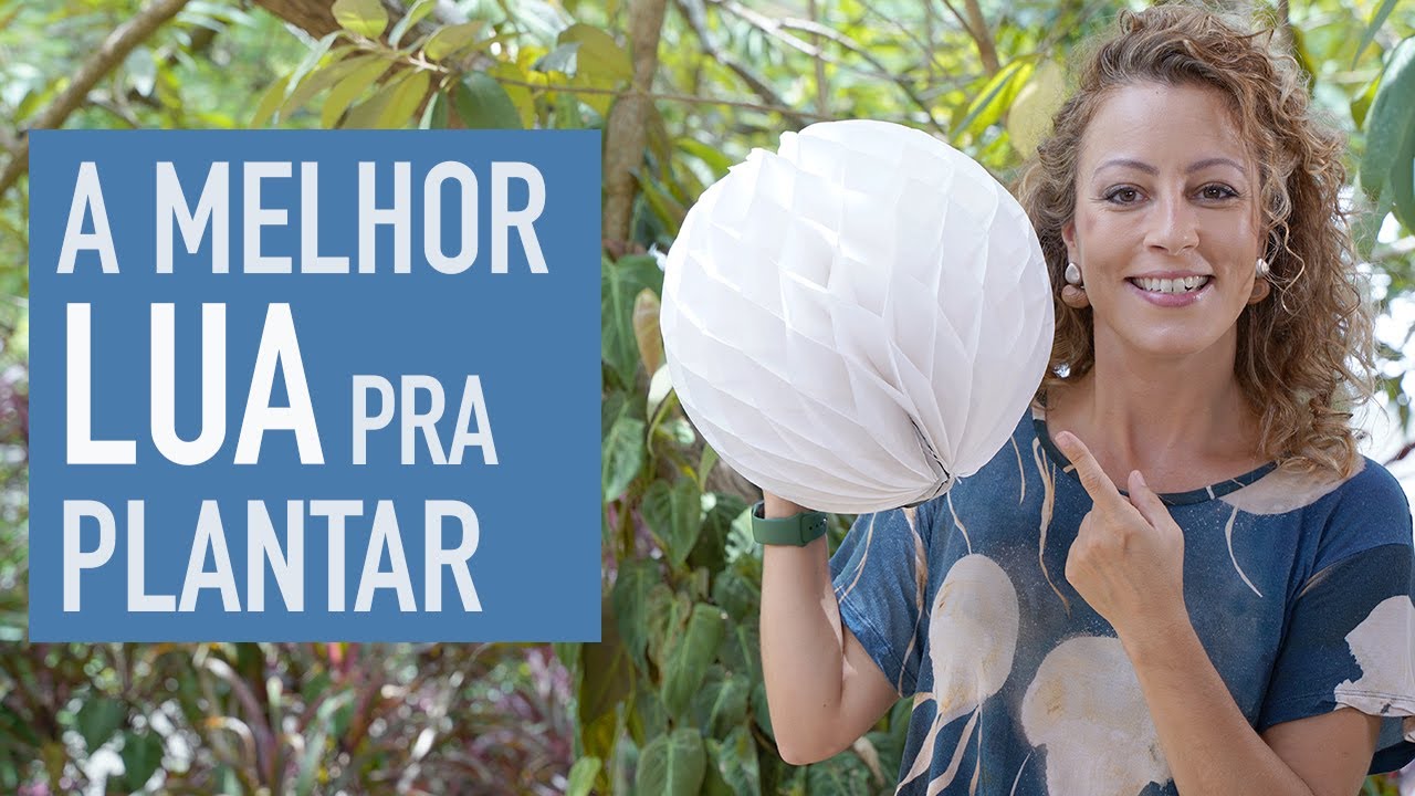 A influ&ecirc;ncia da LUA nas PLANTAS: quando PLANTAR e COLHER