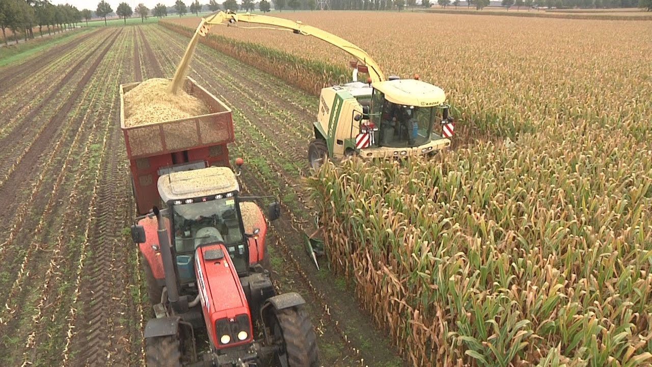 Corn Harvest Netherlands ploegmakers Rips BV