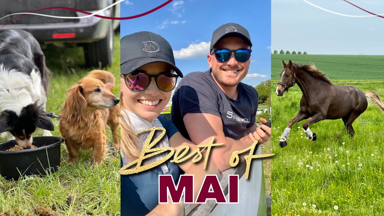Die besten Outtakes des Monats 😂 | Best of Mai