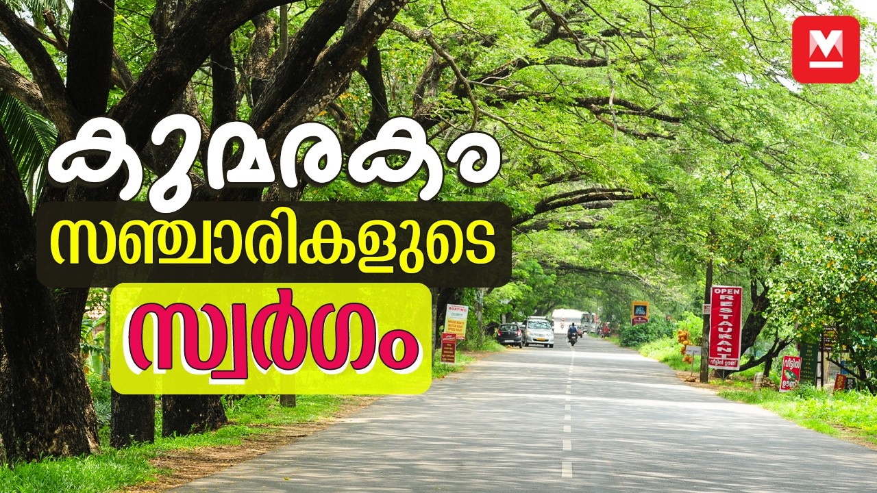 കരിമീനും കായൽക്കാറ്റും മാത്രമല്ല; കുമരകത്തേക്ക് യാത്ര പോകാൻ ഈ 5 കാരണങ്ങൾ ധാരാളം! | Kumarakom Travel