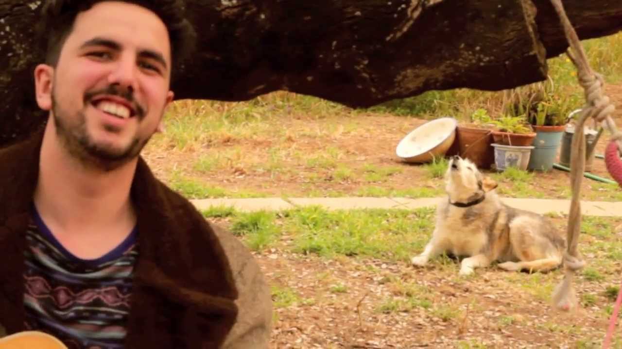 TIME FOR T - Fisherman’s Blues (Cover Song) feat. Anuke the Dog