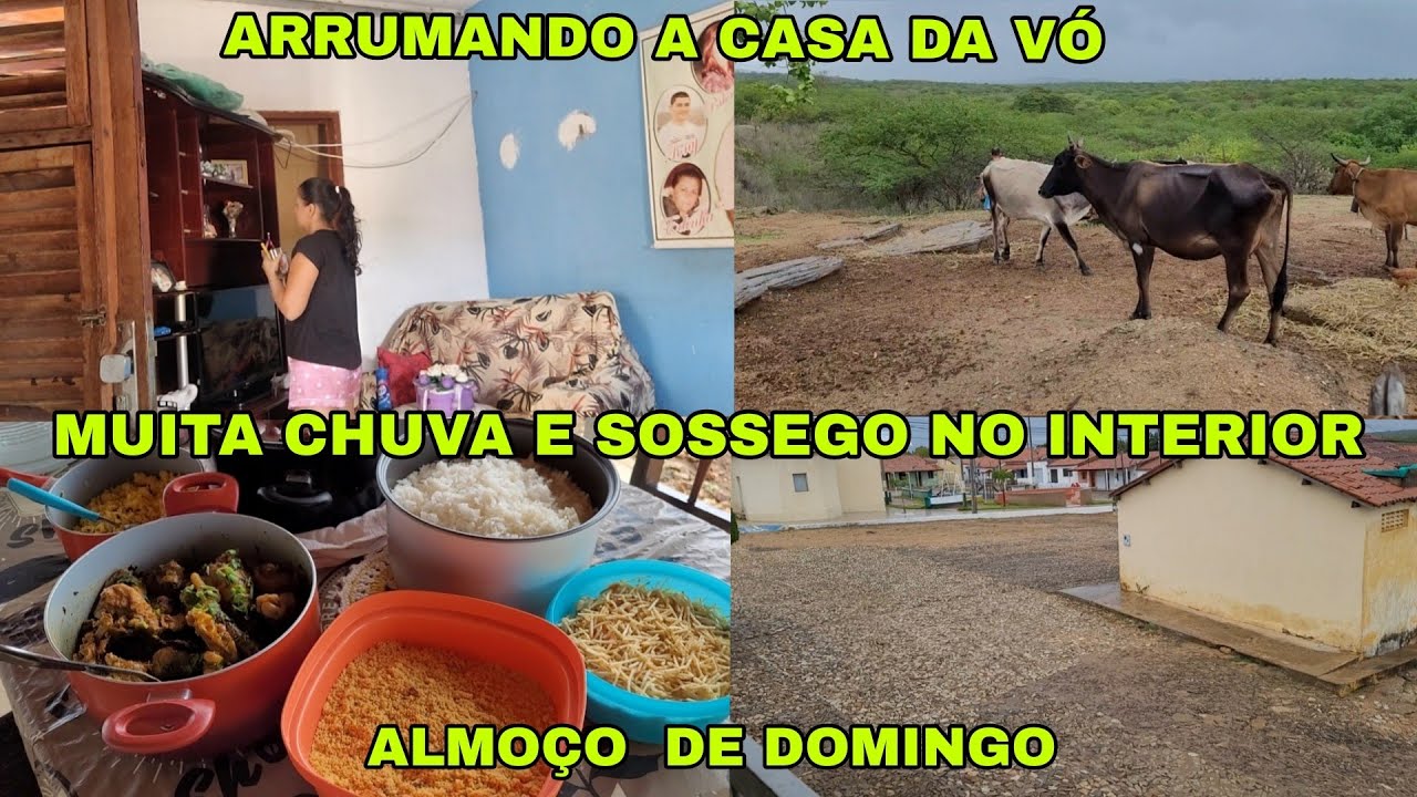 ARRUMANDO A CASA DA VÓ/FARTURA NA ROÇA/FOMOS VER AS VACAS NO CURRAL