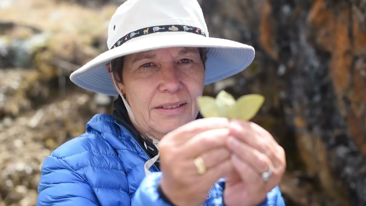 Expedition Choquequirao in Peru - a Coex Amazon documentary