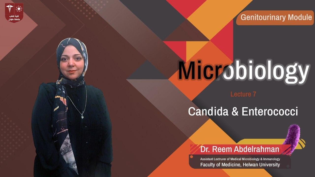 7.Candida & Enterococci