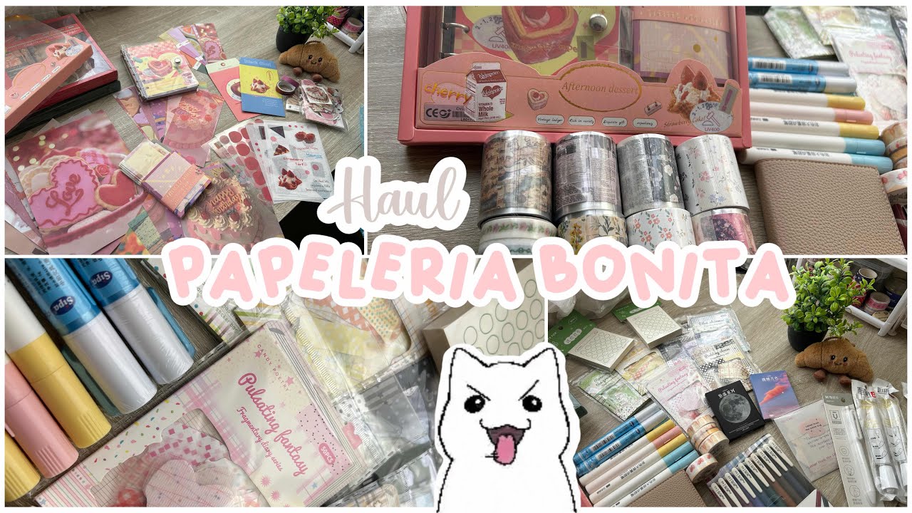 Haul papeleria Bonita 😍 || regreso a clases 📓🖍️