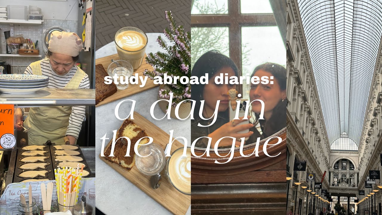 study abroad diaries: a day in the hague